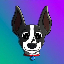 TOLY’S DOG