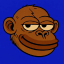 Monkey Cult