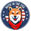 American Shiba