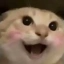 哈基米
